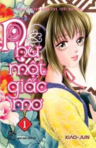Bìa Như Một Giấc Mơ