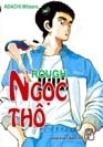 Bìa Rough Ngọc Thô